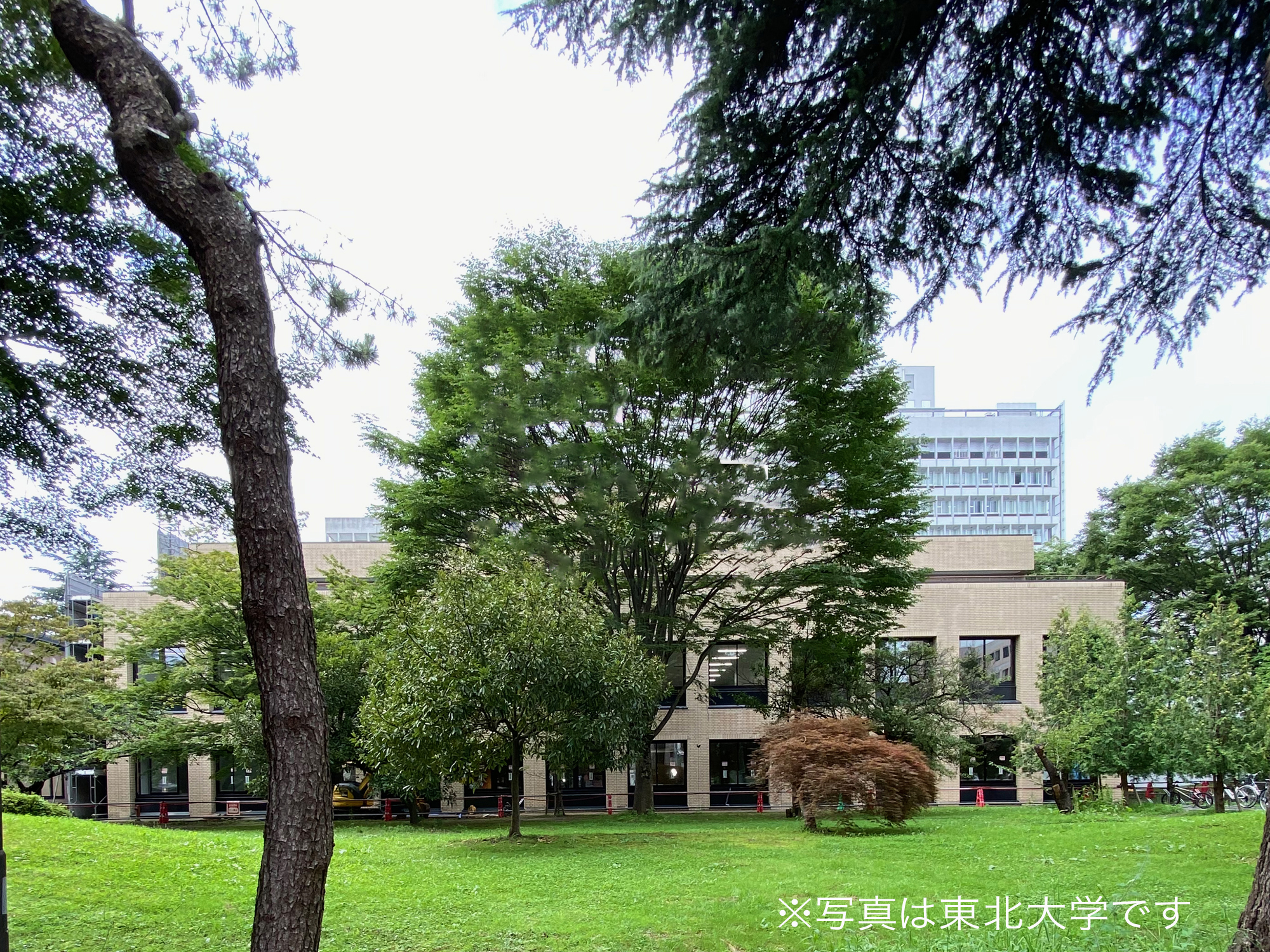 藤井ようこうの大学設立の施策